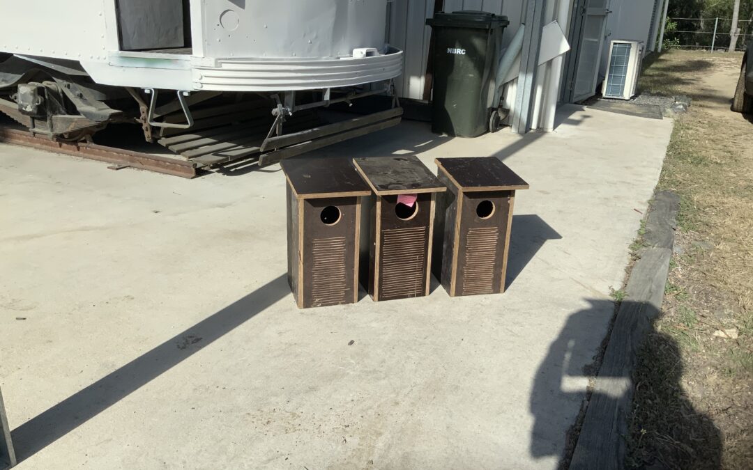 Bird Boxes August 2021